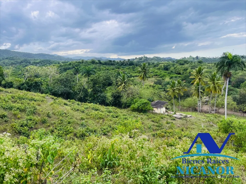 Finca de 5,200 tareas en vetas - 5