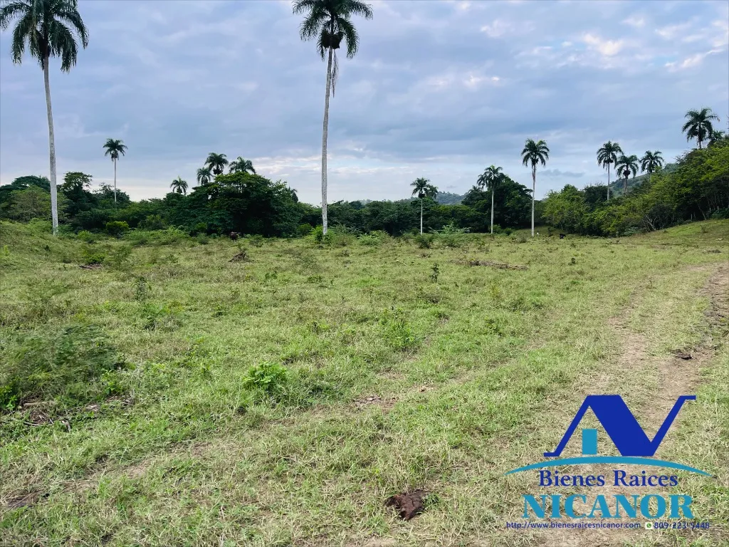 Finca de 5,200 tareas en vetas - 7