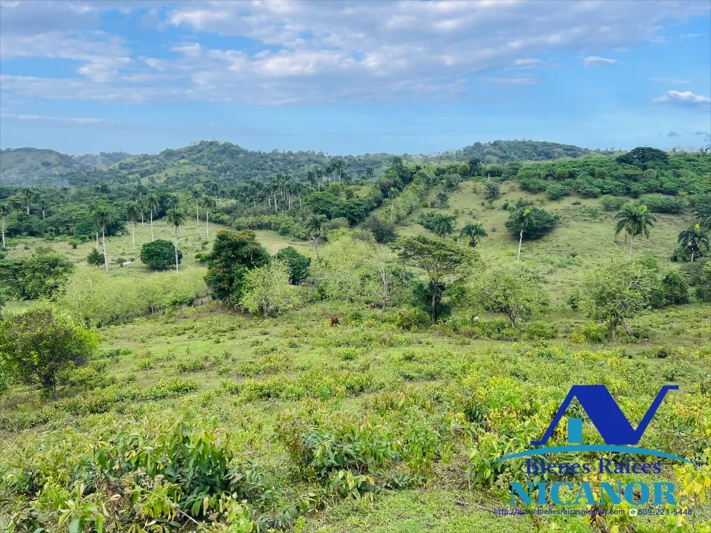 Finca de 5,200 tareas en vetas - 1