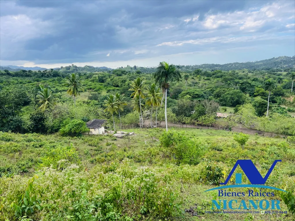 Finca de 5,200 tareas en vetas - 3