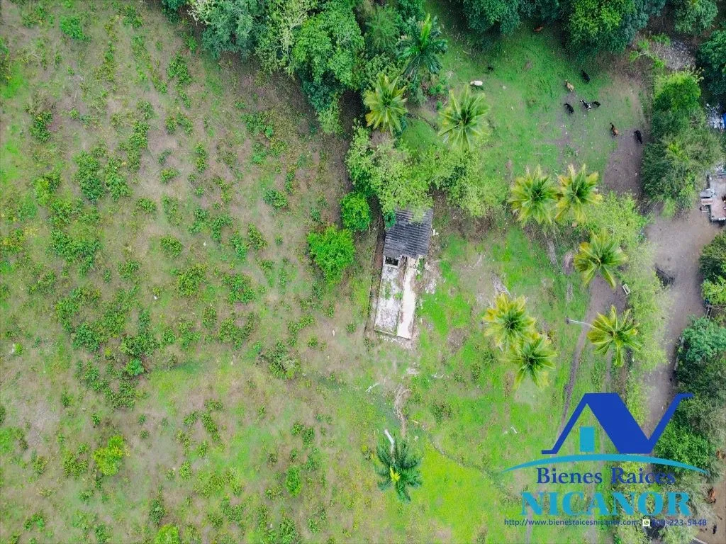Finca de 5,200 tareas en vetas - 16