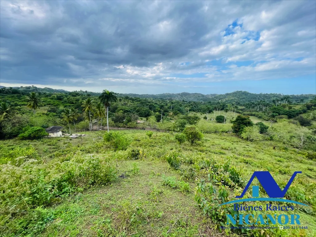 Finca de 5,200 tareas en vetas - 15