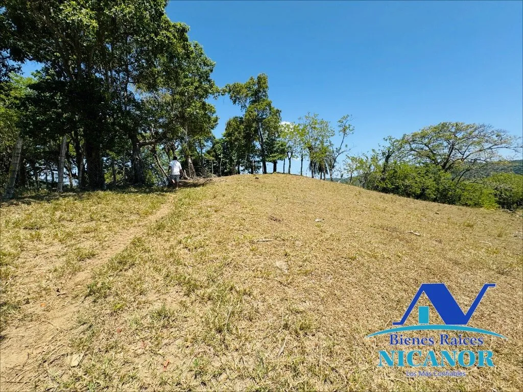 Finca de 846 taraes en venta - 6