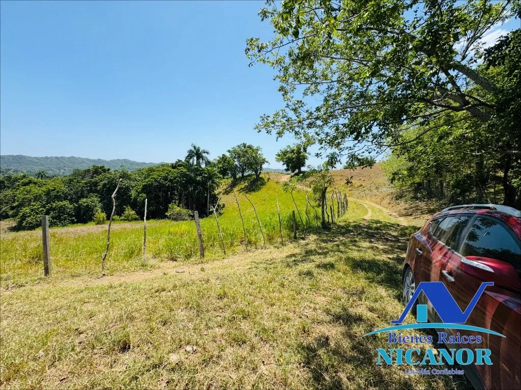 Finca de 846 taraes en venta - 5