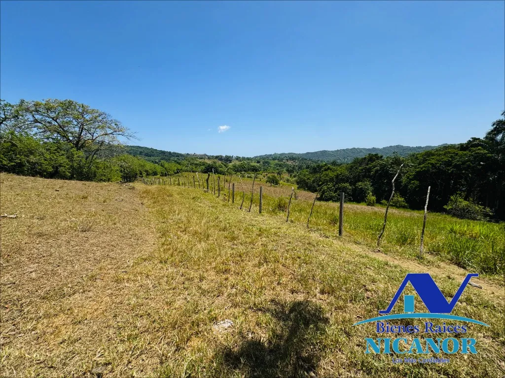 Finca de 846 taraes en venta - 9