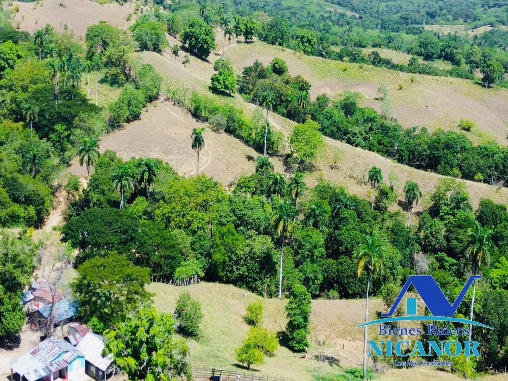 Finca de 846 taraes en venta - 20