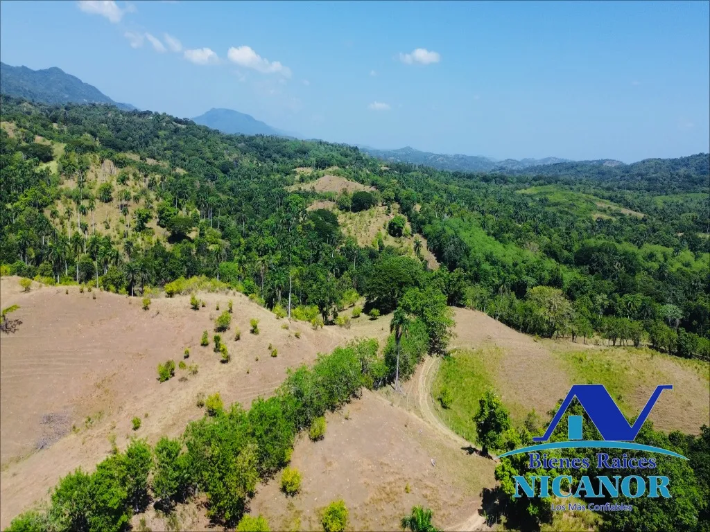 Finca de 846 taraes en venta - 12