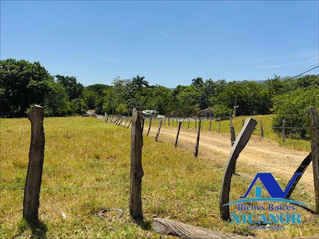Finca de 846 taraes en venta - 8