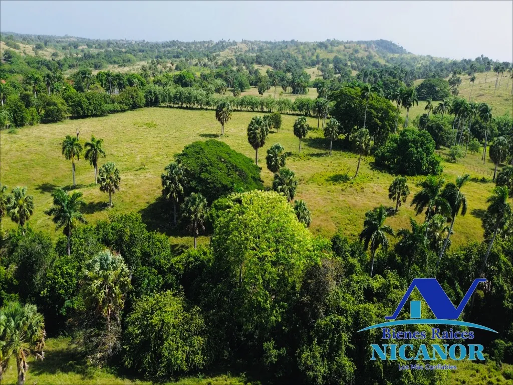 Finca de 1,010 tareas en venta - 4