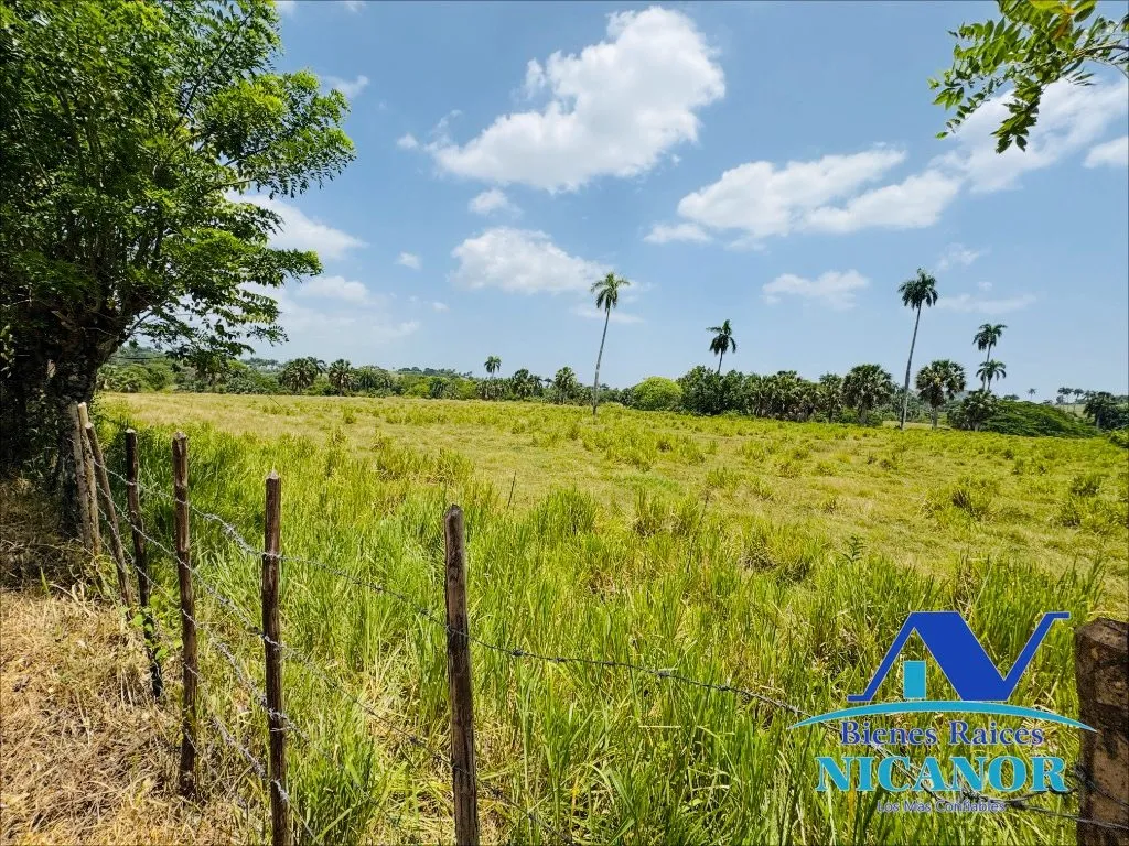 Finca de 1,010 tareas en venta - 19