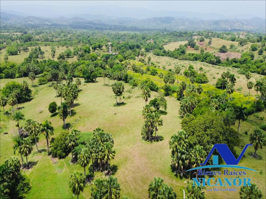 Finca de 1,010 tareas en venta - 8