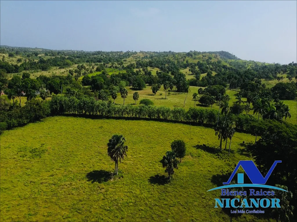 Finca de 1,010 tareas en venta - 5