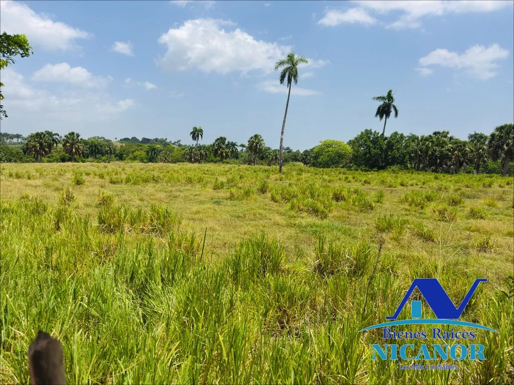 Finca de 1,010 tareas en venta - 18