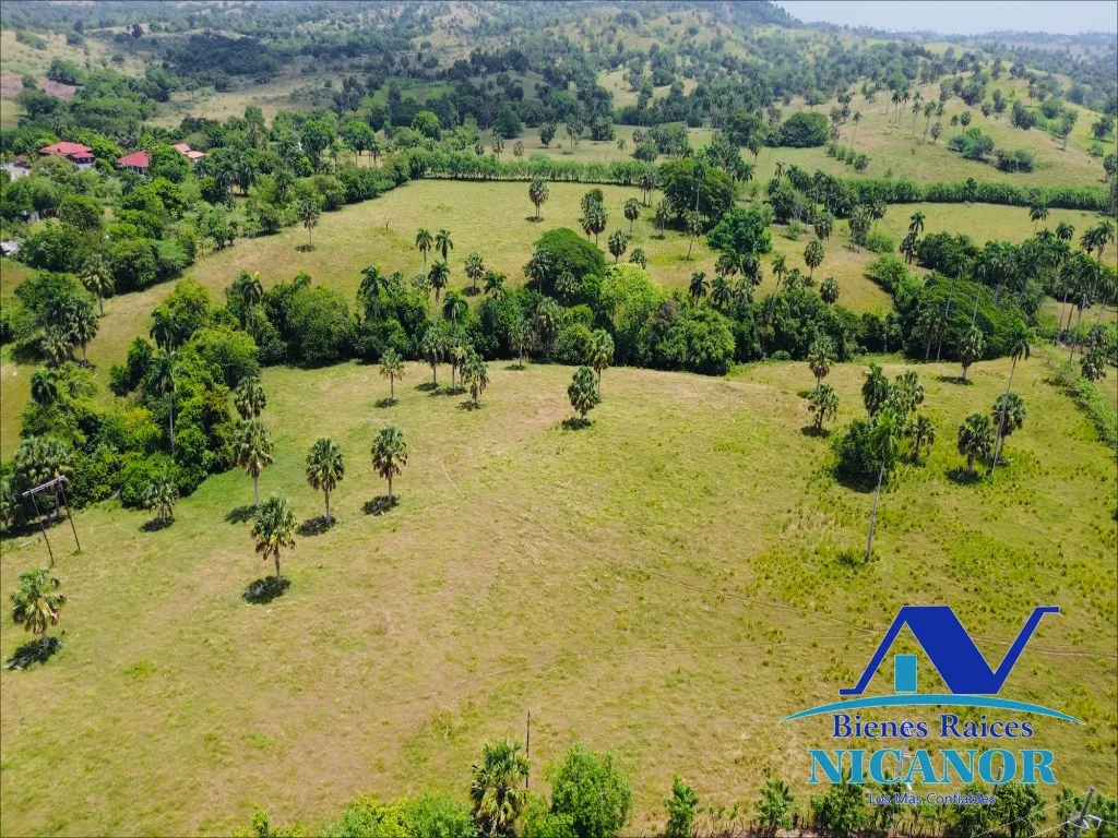 Finca de 1,010 tareas en venta - 12