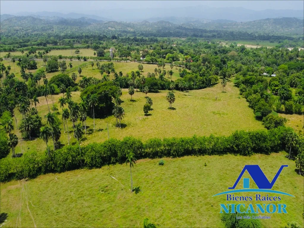 Finca de 1,010 tareas en venta - 11