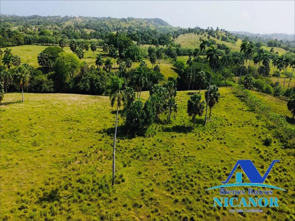 Finca de 1,010 tareas en venta - 3