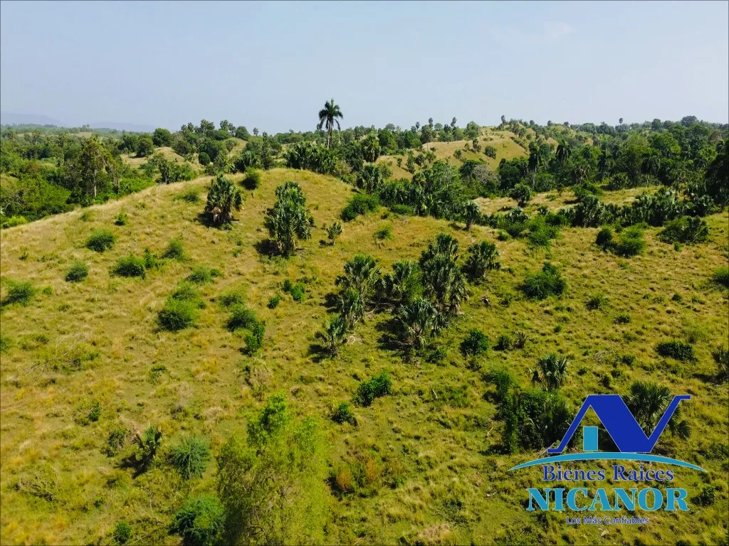 Finca de 1,010 tareas en venta - 6