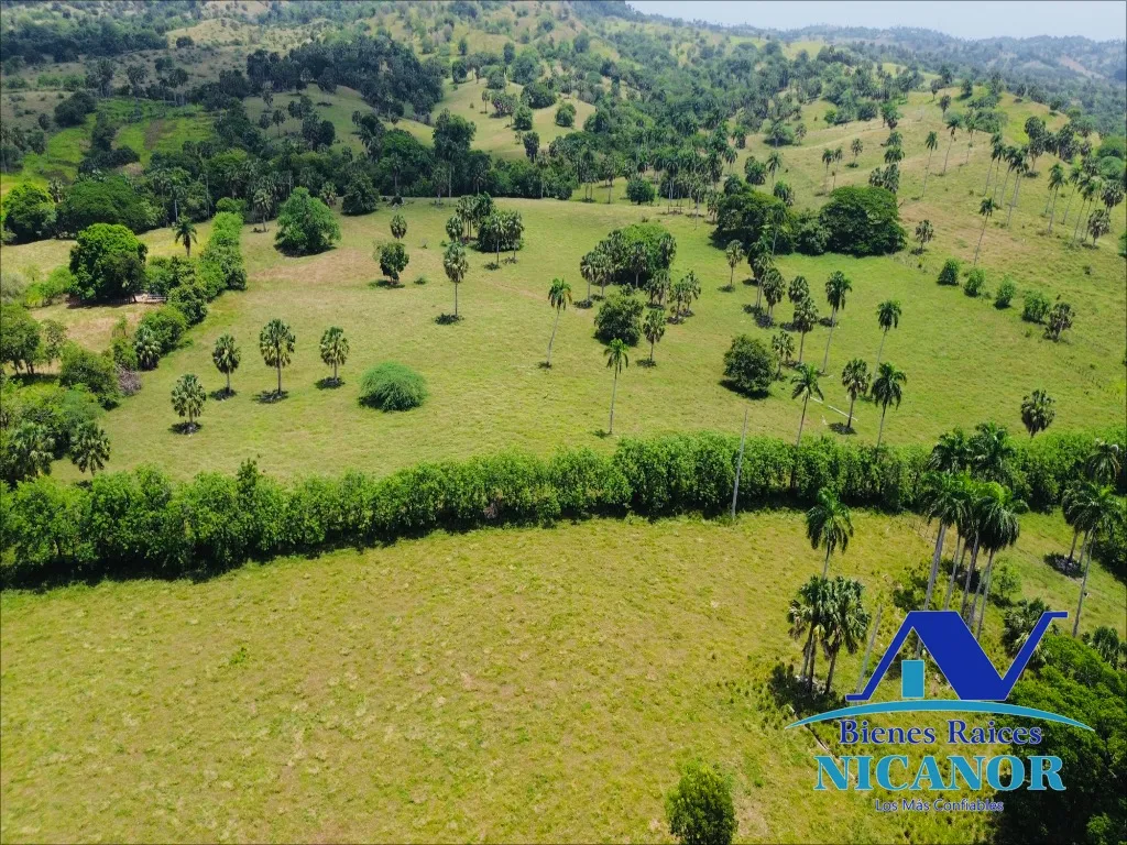 Finca de 1,010 tareas en venta - 7