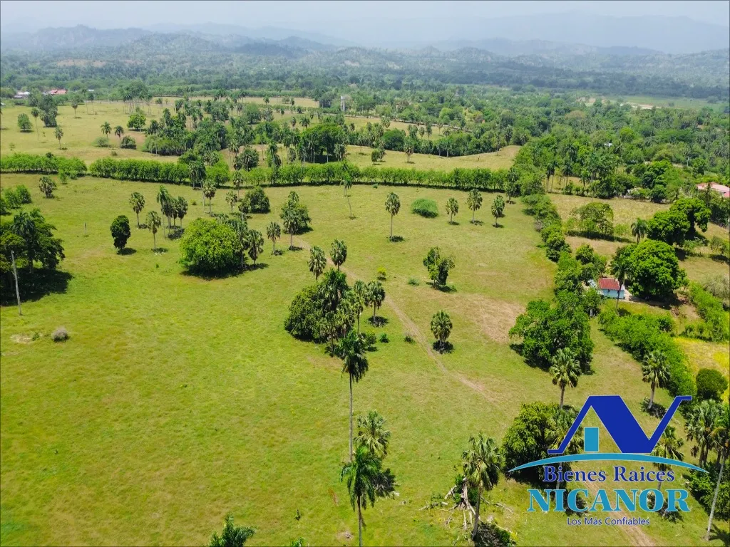 Finca de 1,010 tareas en venta - 10