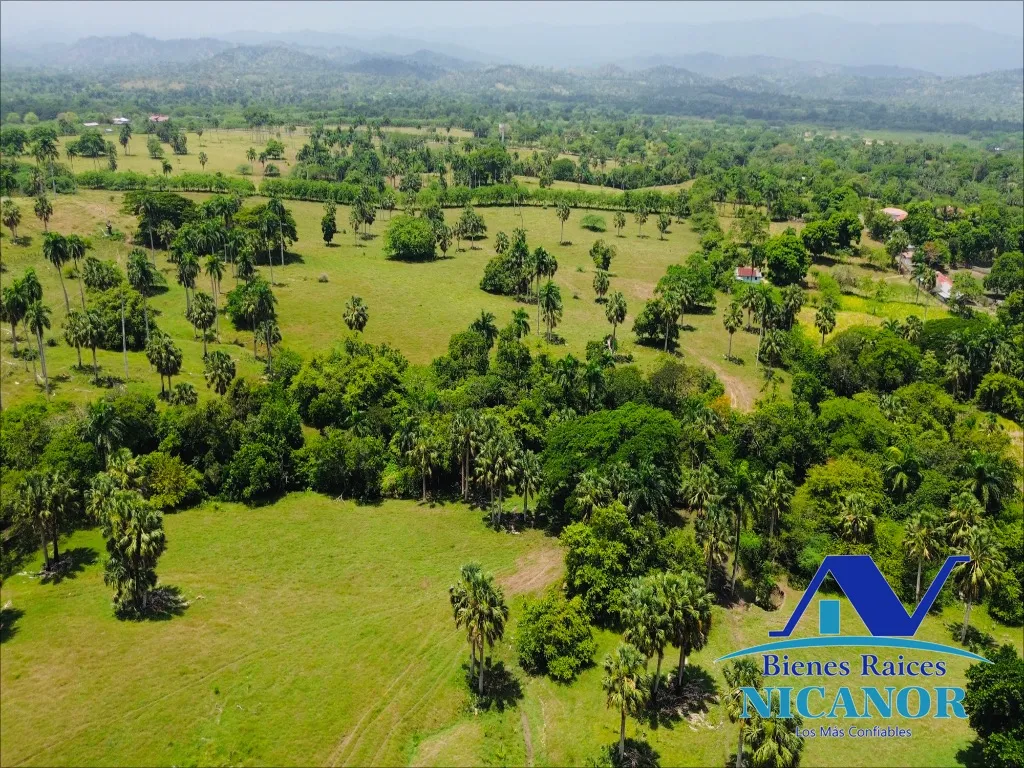 Finca de 1,010 tareas en venta - 9