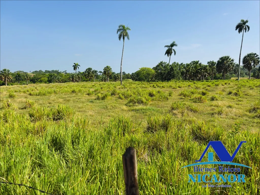 Finca de 1,010 tareas en venta - 16