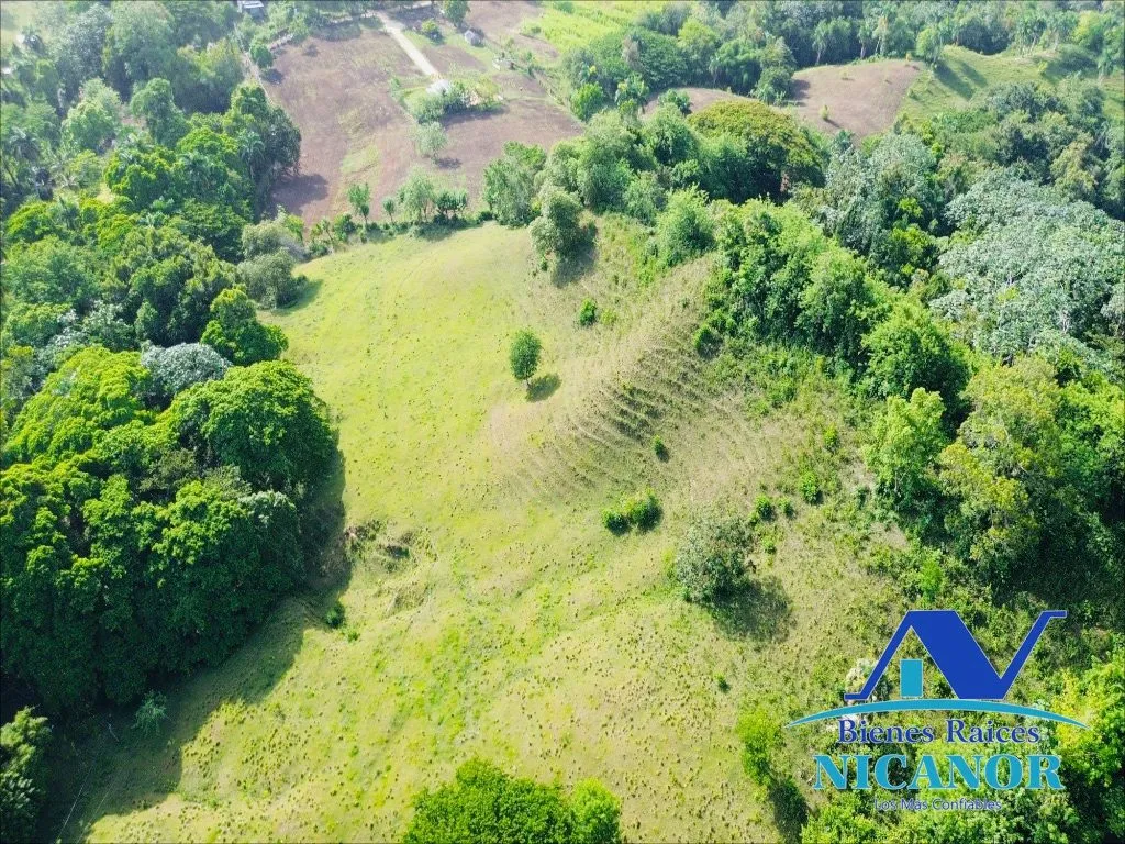 Finca de 278 tareas en venta - 7