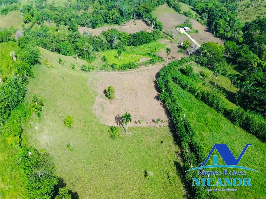 Finca de 278 tareas en venta - 3