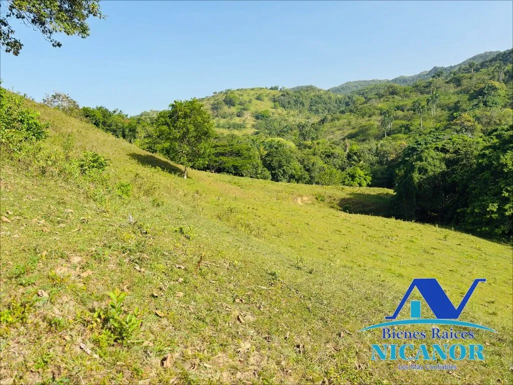 Finca de 278 tareas en venta - 9