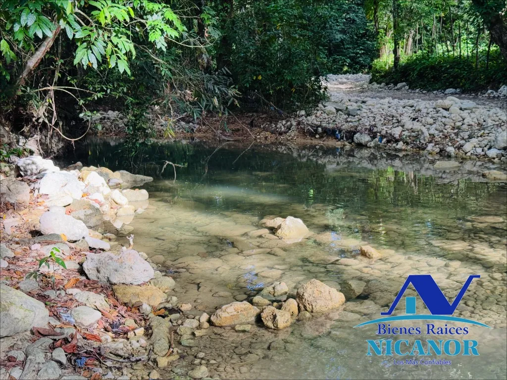Finca de 278 tareas en venta - 13
