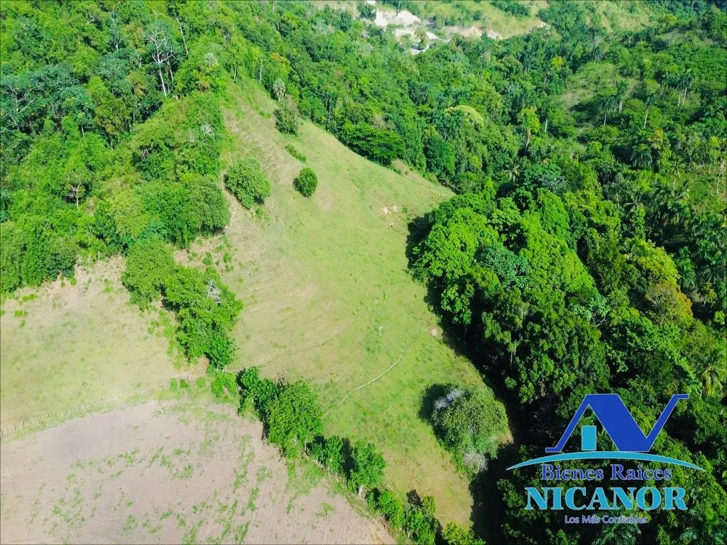 Finca de 278 tareas en venta - 5