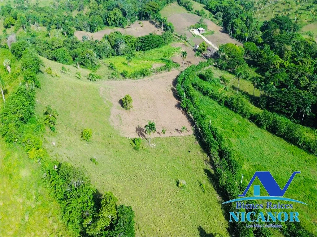Finca de 278 tareas en venta - 2