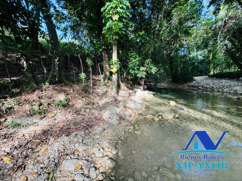 Finca de 278 tareas en venta - 11