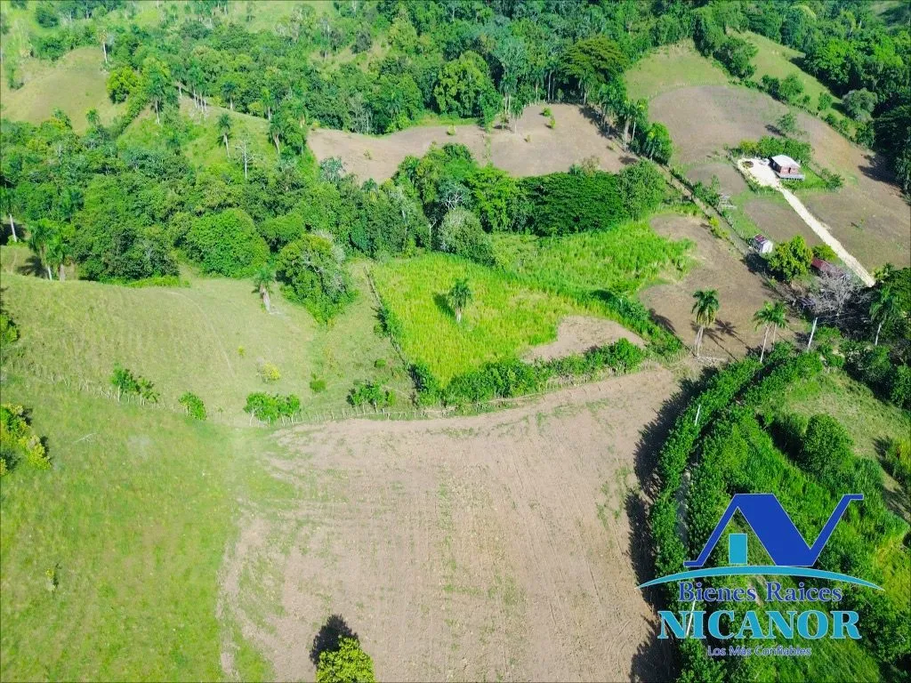 Finca de 278 tareas en venta - 4