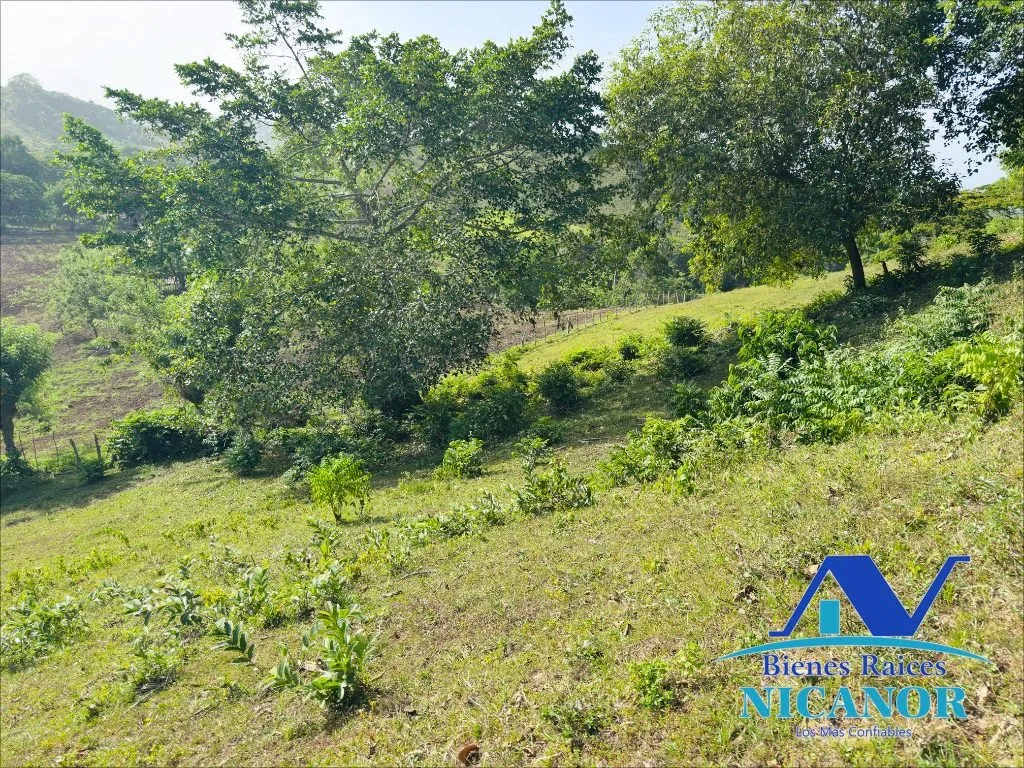 Finca de 278 tareas en venta - 10