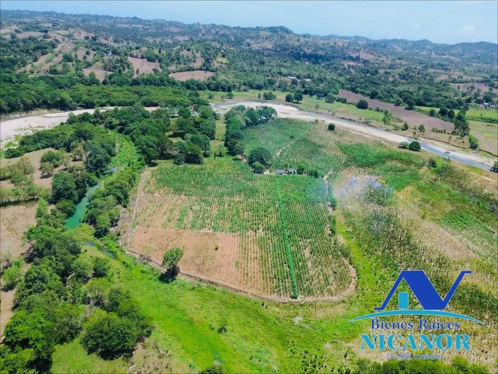 Finca sembrada de platano en venta - 2