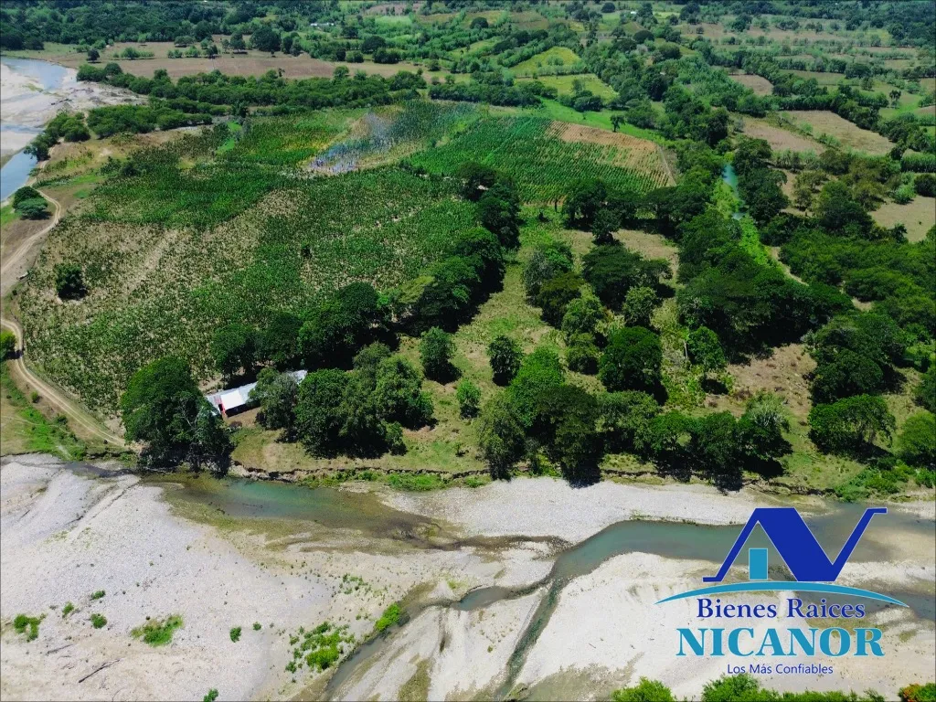 Finca sembrada de platano en venta - 1
