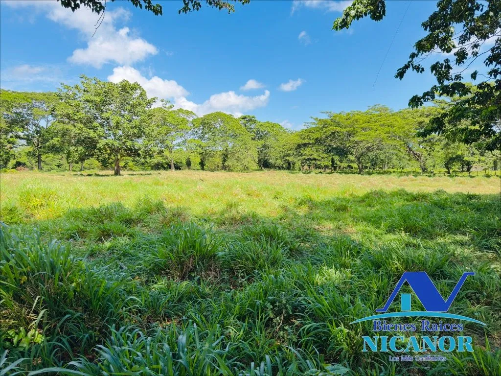 Finca sembrada de platano en venta - 17