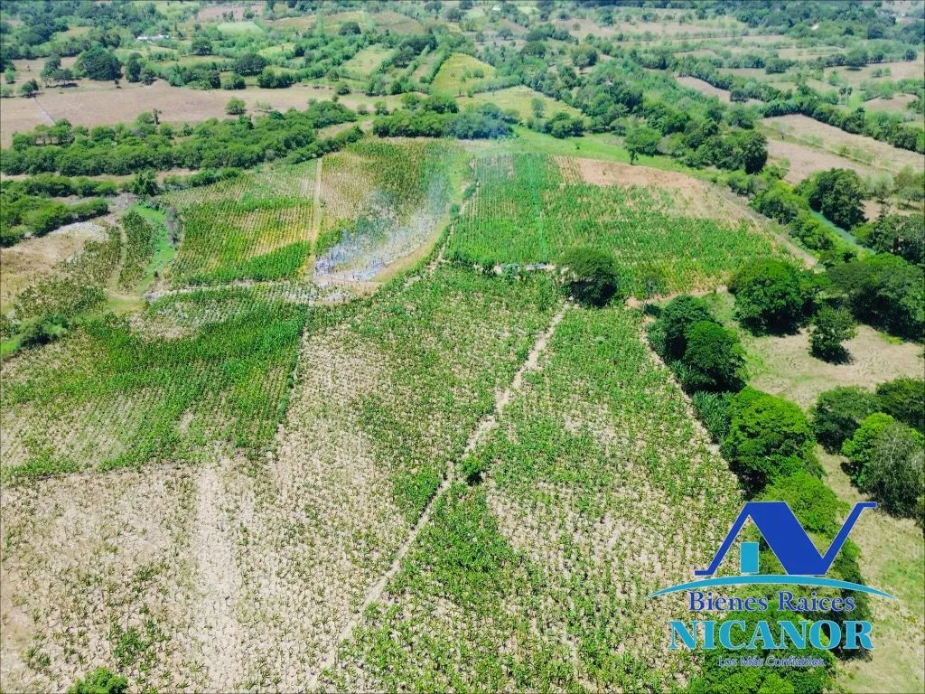 Finca sembrada de platano en venta - 12