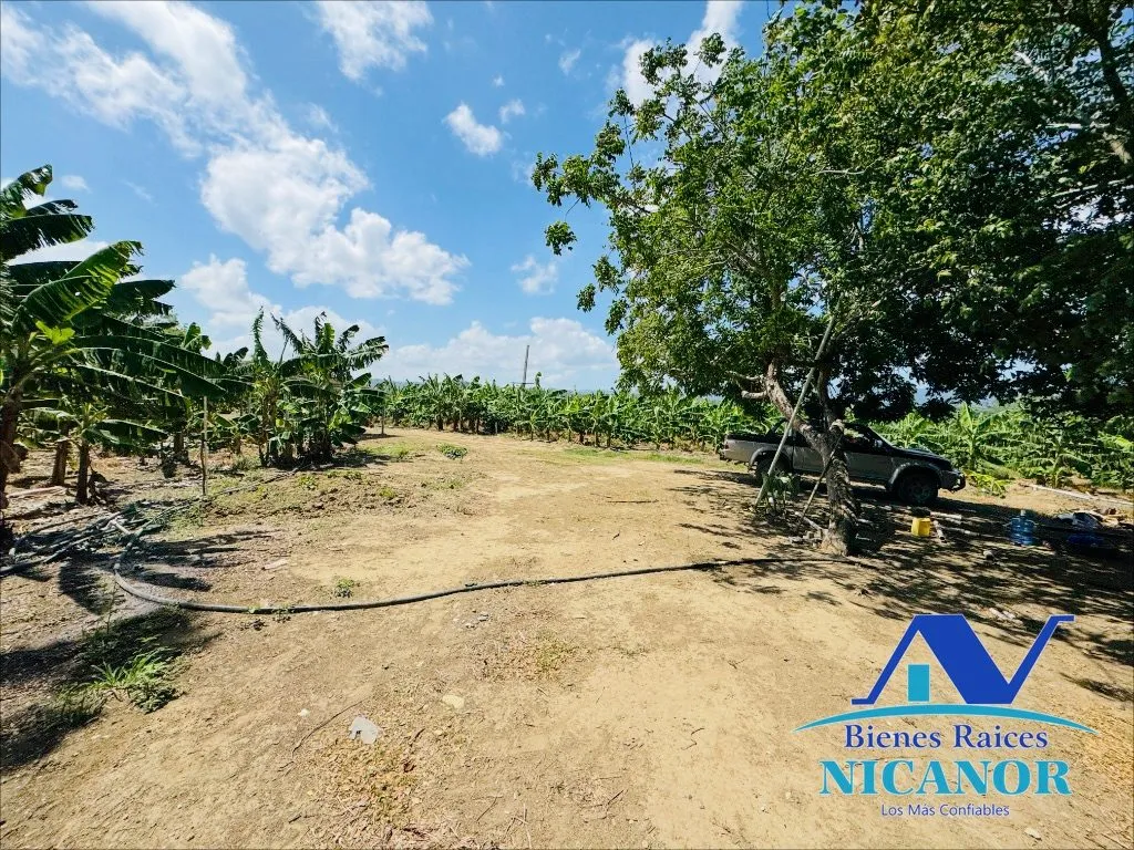 Finca sembrada de platano en venta - 20