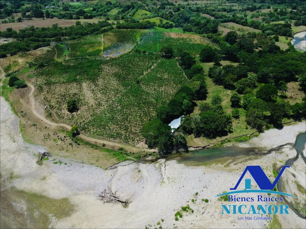 Finca sembrada de platano en venta - 10
