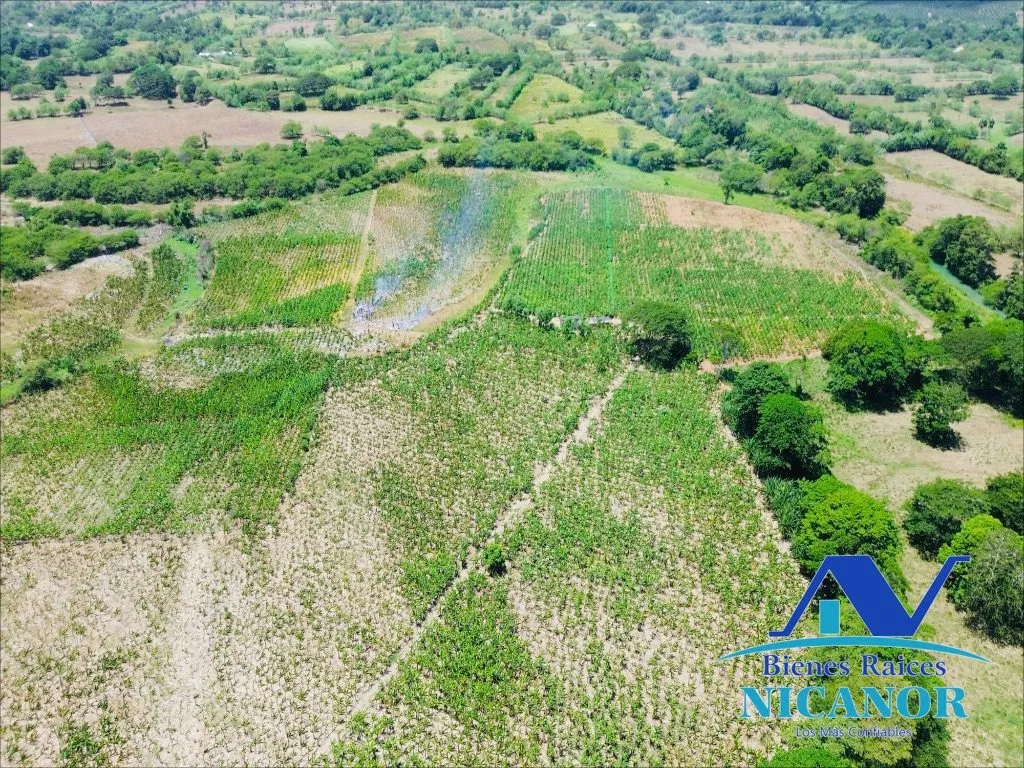 Finca sembrada de platano en venta - 6