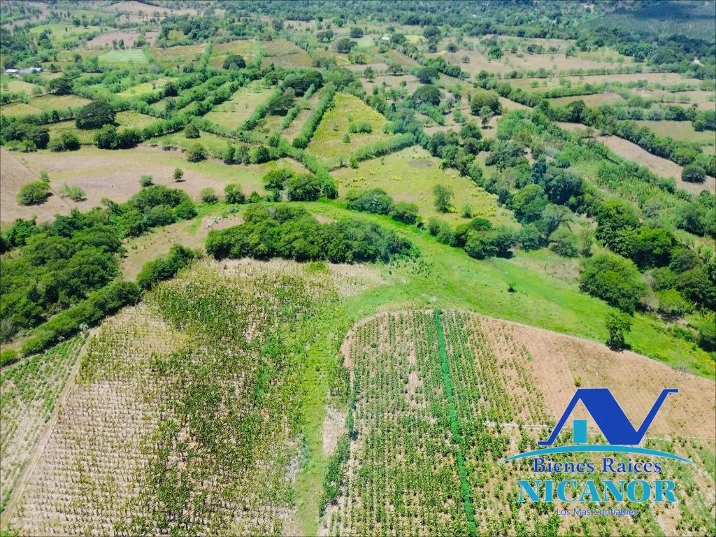 Finca sembrada de platano en venta - 8