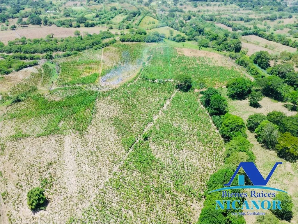 Finca sembrada de platano en venta - 13