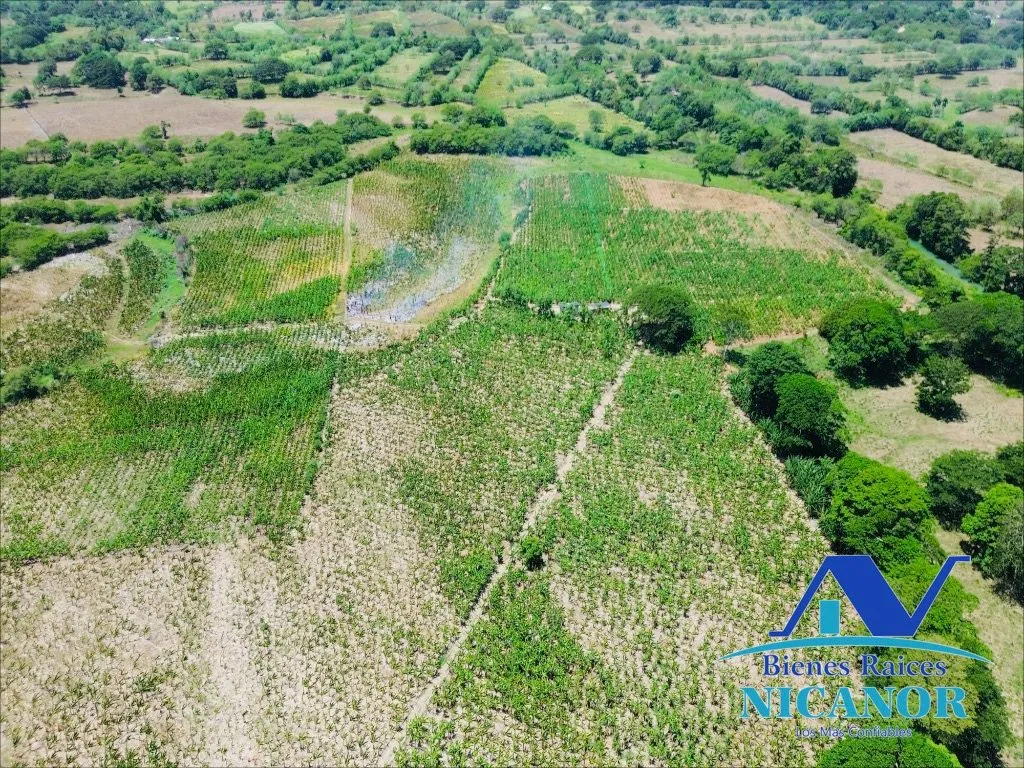 Finca sembrada de platano en venta - 14