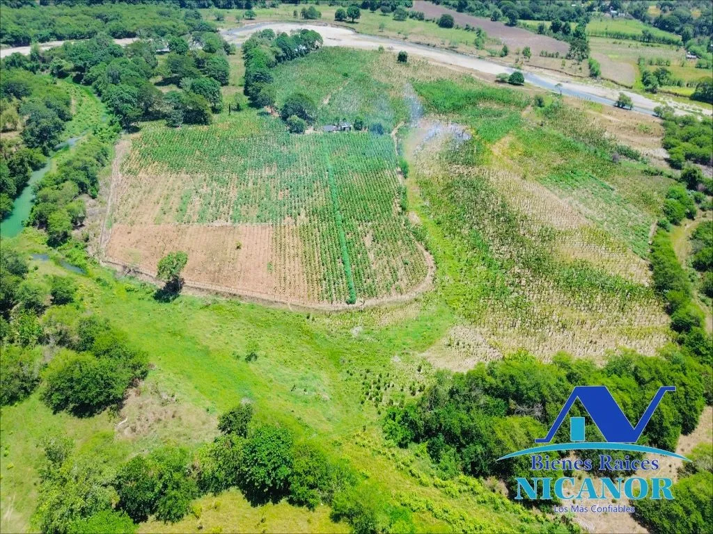 Finca sembrada de platano en venta - 7