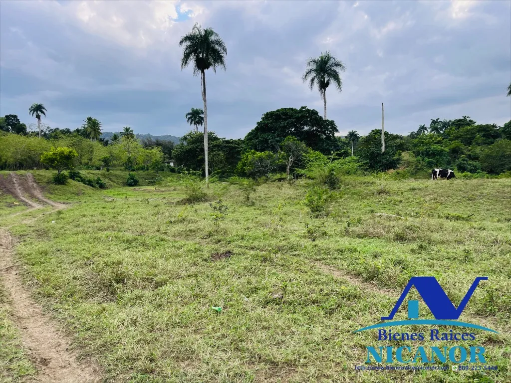 Finca de 2,300 tareas en venta en imbert puerto plata - 3
