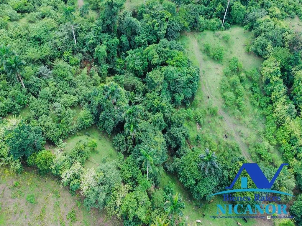 Finca de 2,300 tareas en venta en imbert puerto plata - 18