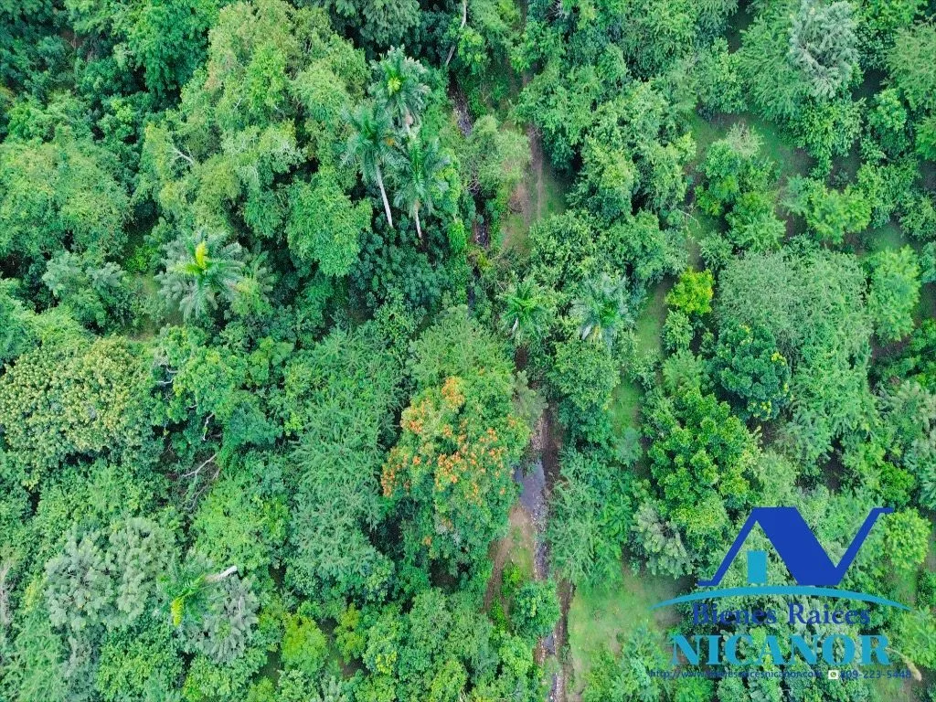 Finca de 2,300 tareas en venta en imbert puerto plata - 19