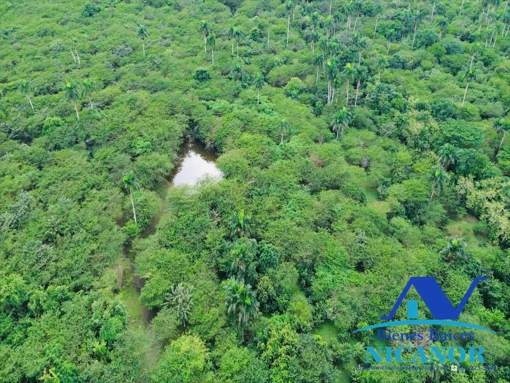 Finca de 2,300 tareas en venta en imbert puerto plata - 16