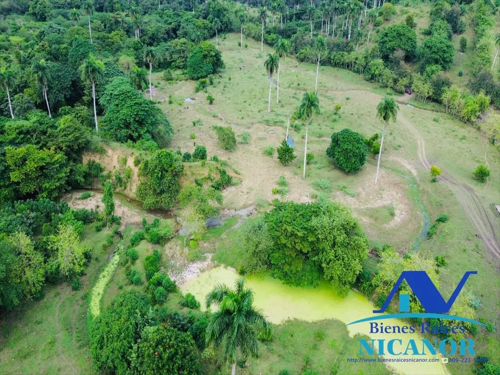 Finca de 2,300 tareas en venta en imbert puerto plata - 14
